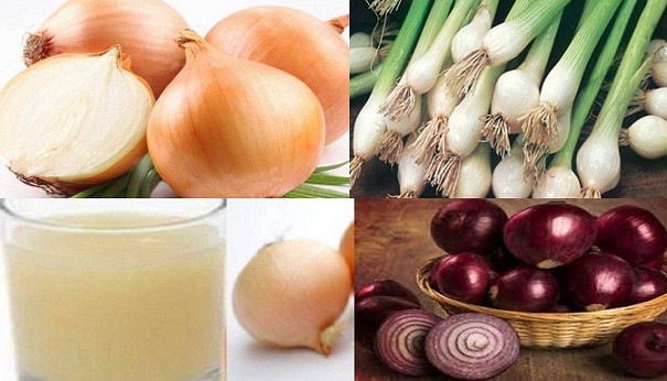 البصل غذاء ودواء 